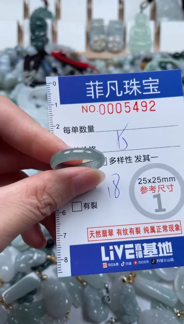 翡翠未镶嵌颈饰00..5492