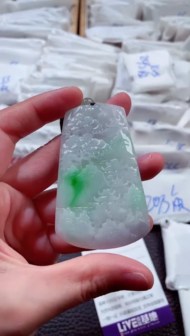 翡翠未镶嵌颈饰00003711