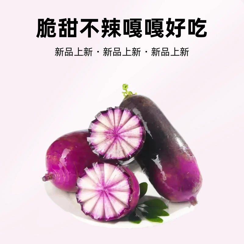 鲜脆冰激凌萝卜脆甜多汁新鲜现拔正宗潍坊水果萝卜冰淇淋产地直发