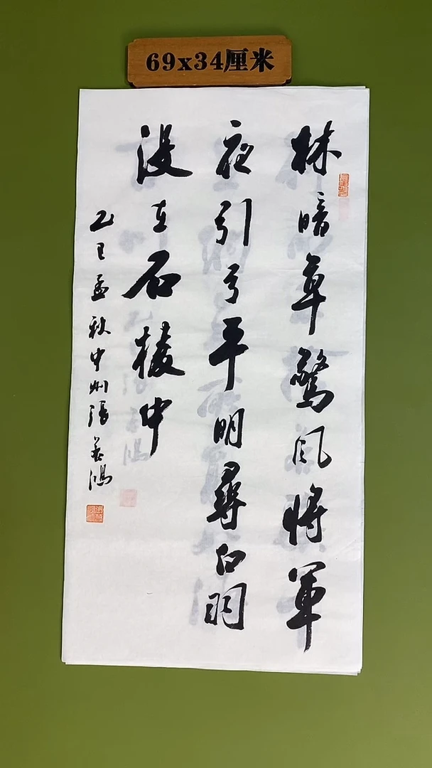 书法书法 张若鸿 尺寸69cm*34cm