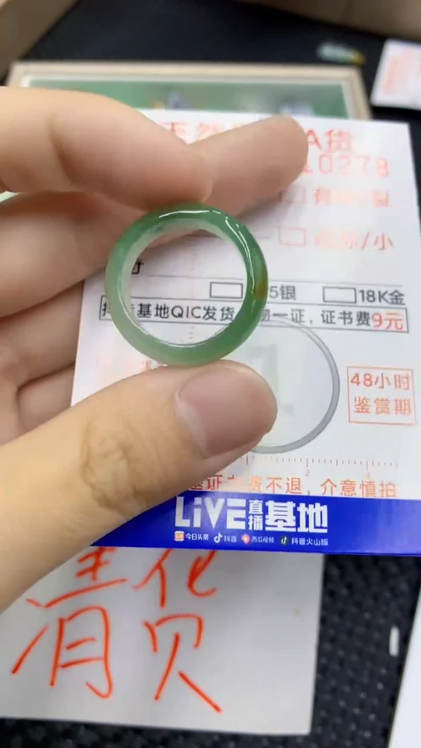 翡翠未镶嵌颈饰             1