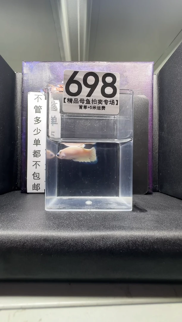斗鱼母鱼编号：698