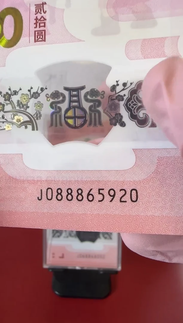 【闪购商品】塑料25蛇钞088865920单张裸