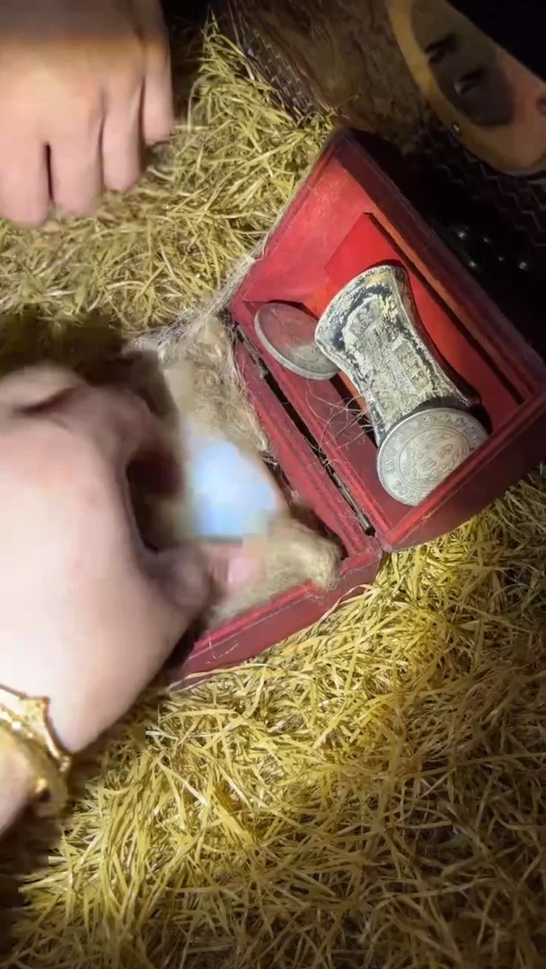 多多专属精品链接