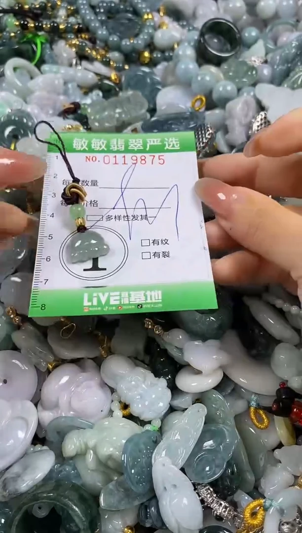 【闪购商品】翡翠颈饰未镶嵌闪购0119875多样性发其一