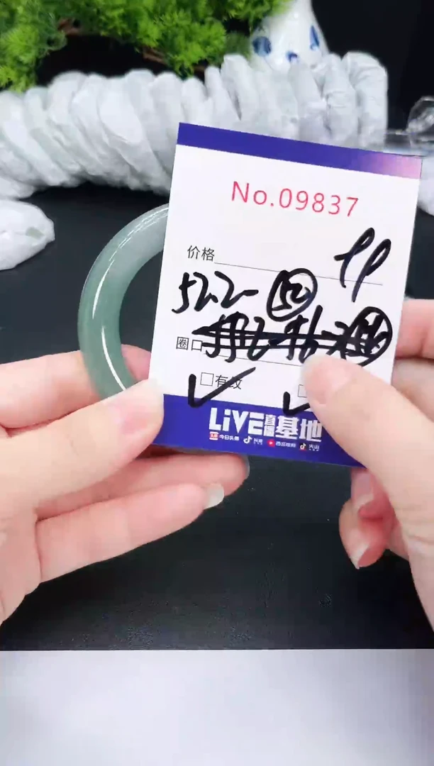 未镶嵌手镯翡翠9837
