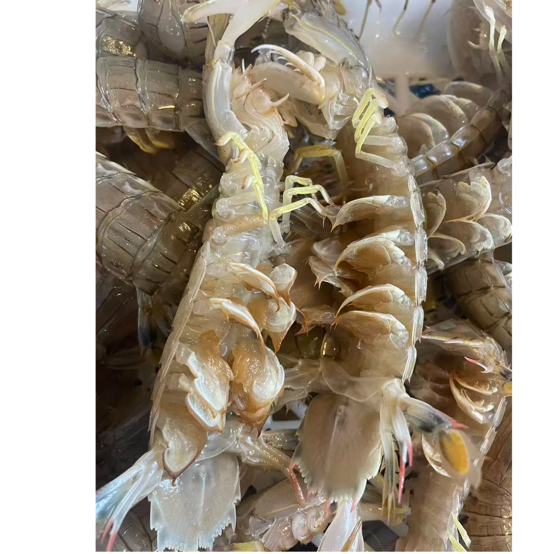 本地大个皮皮虾/100-7斤