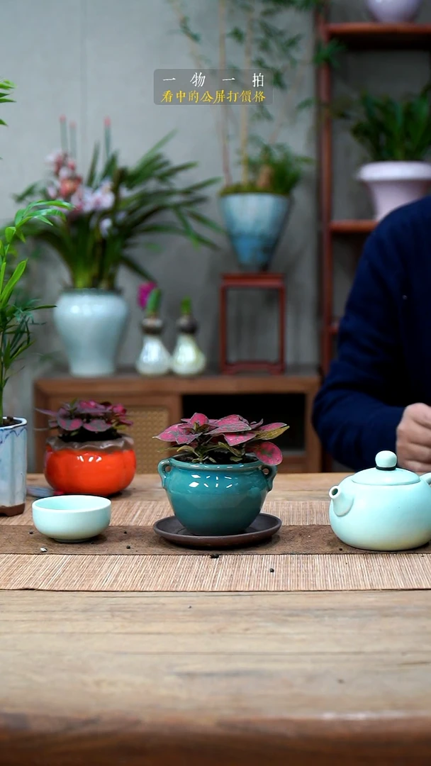 完全开放豪嫣红蔓078