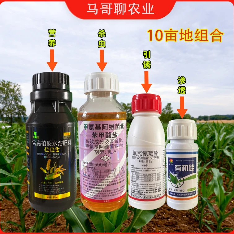 玉米播种到出苗期地下害虫一喷多防管理方案