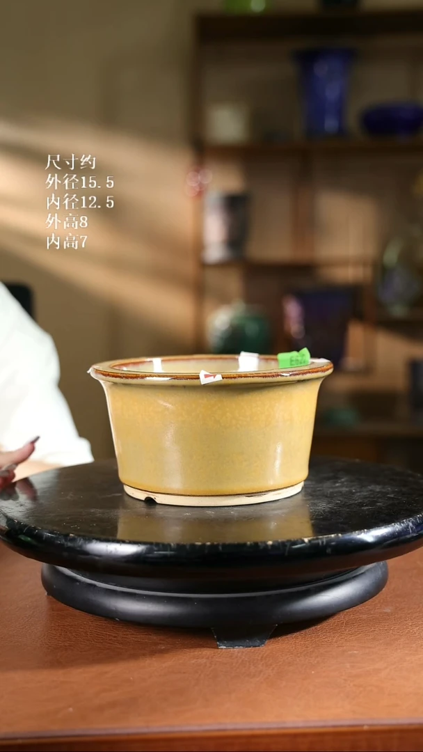 622    6寸S1新款小圆盆