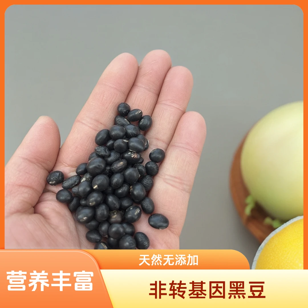 《小琼优选》资源高山种在田埂边上的非转基因黑豆
