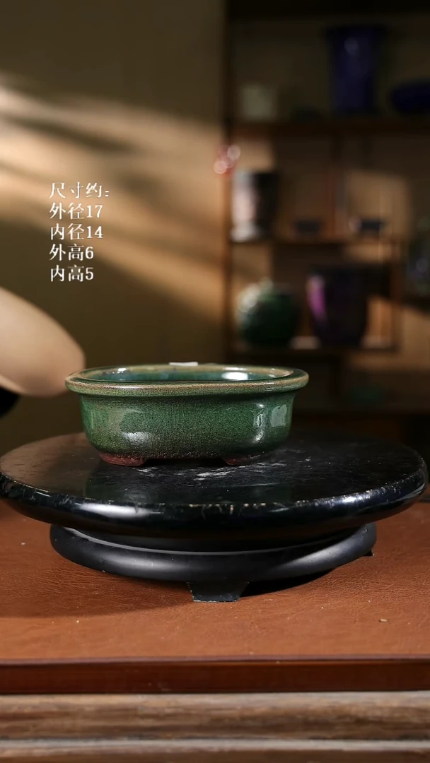 6.5寸椭圆盆 482