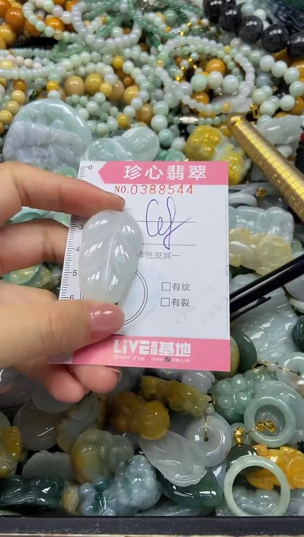 颈饰未镶嵌翡翠闪购0388544