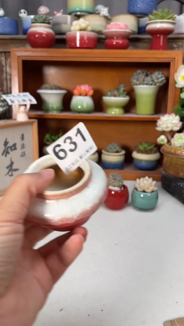 瓷片631知木小芳花盆