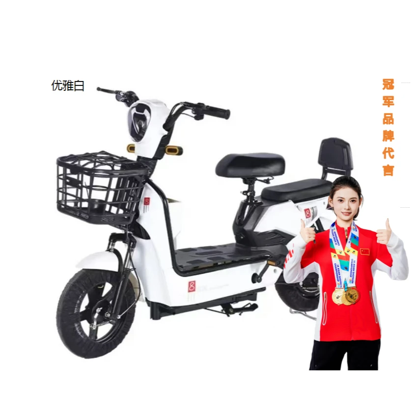 新国标电动车48V锂电池电池