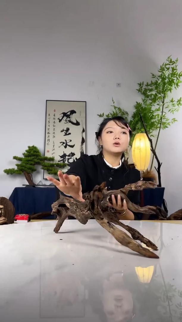 桃***陶拍这个定向编号28