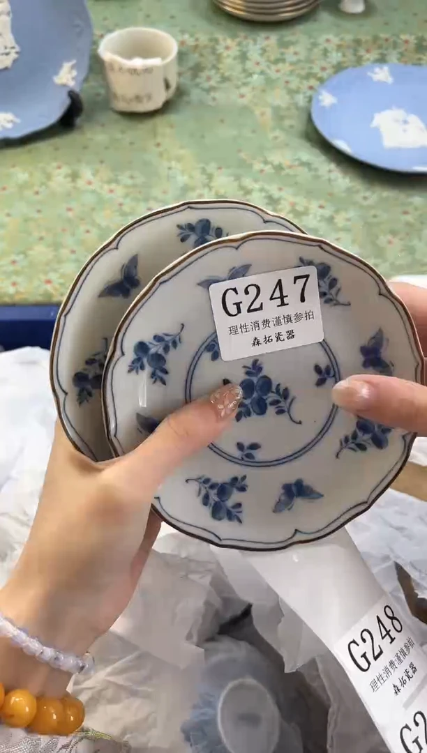 【闪购商品】瓷片          G247