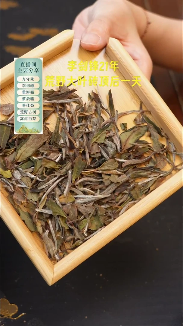 2021磻溪荒野牡丹50克