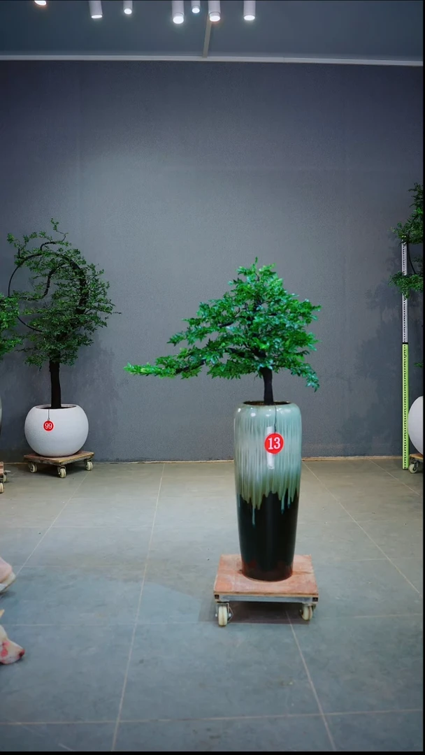 大部分花苞少量开放智**修一物一拍绿植