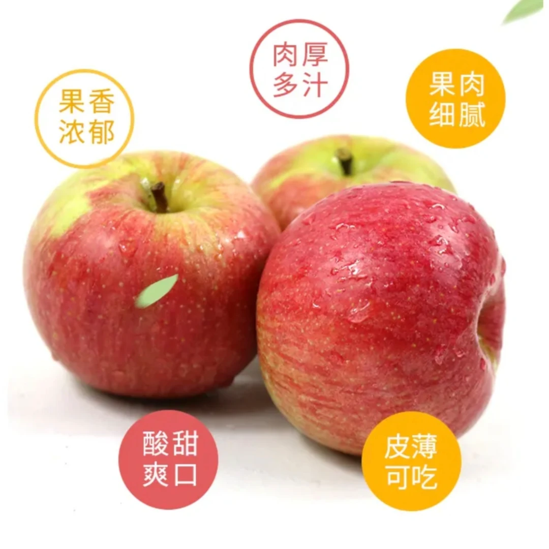 东北国光苹果大连老树小国光苹果不套袋国光苹果新鲜苹果酸甜多汁小苹果新鲜苹果辽宁省