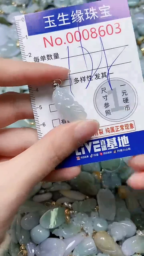 【闪购商品】翡翠颈饰未镶嵌闪购00008603