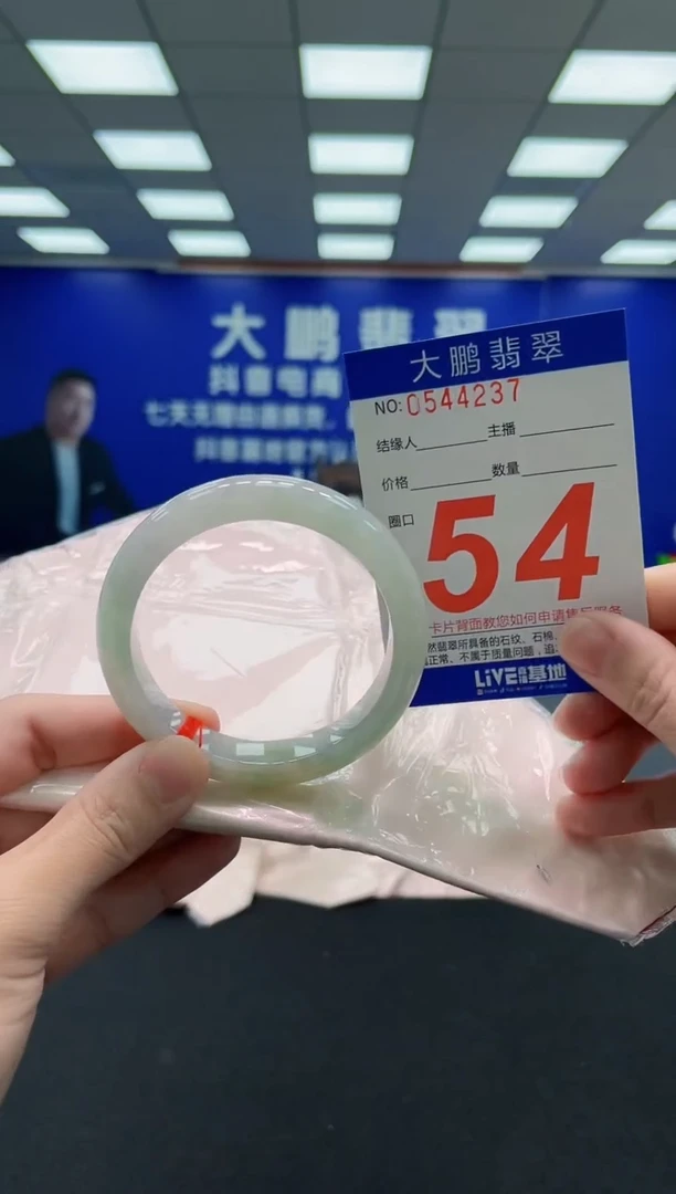 未镶嵌手镯翡翠AAAAAAAAA