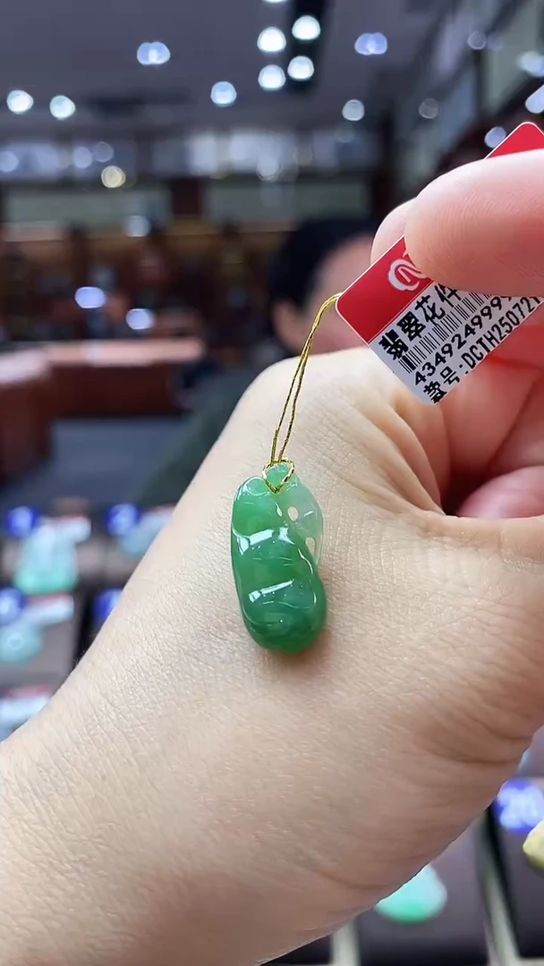 翡翠未镶嵌颈饰福豆