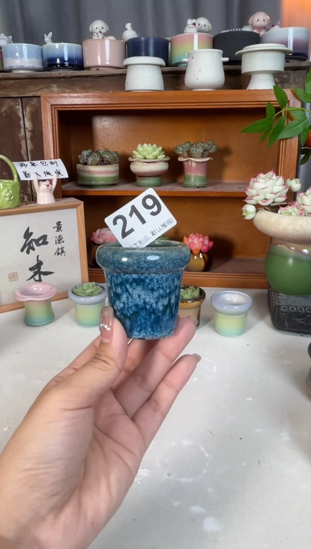 瓷片219微瑕知木小芳花盆