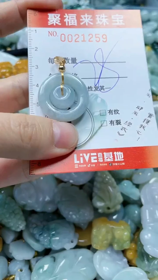 【闪购商品】翡翠颈饰未镶嵌闪购0021259
