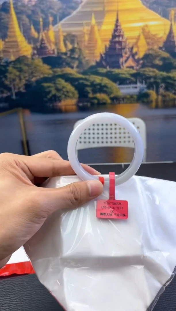 未镶嵌手镯翡翠5