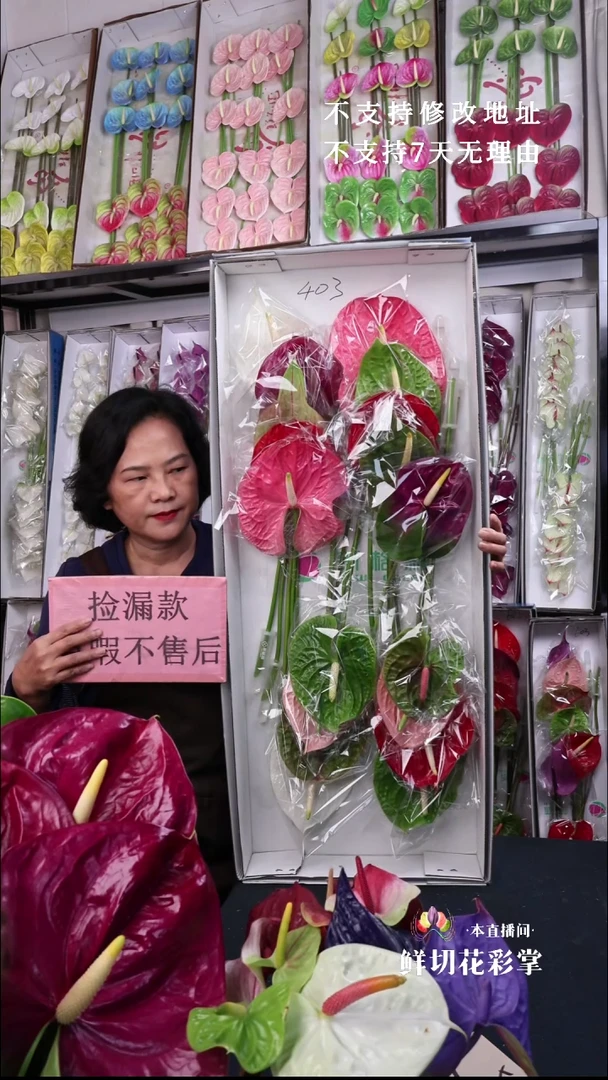 404混色彩掌18枝(枝长35-45cm，横冠幅12-15cm以上)，微瑕无售后