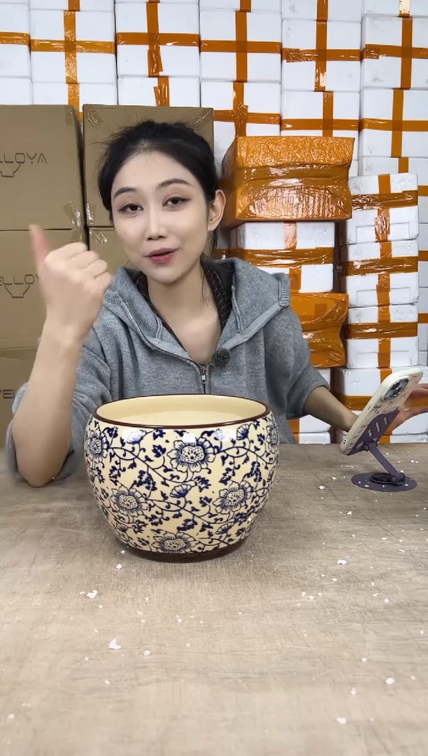 苹果青花瓷中号20x15