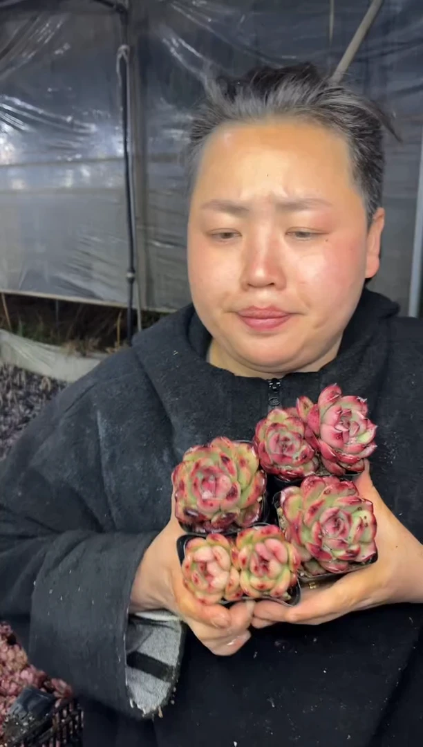 【闪购商品】22-TM2单2双5