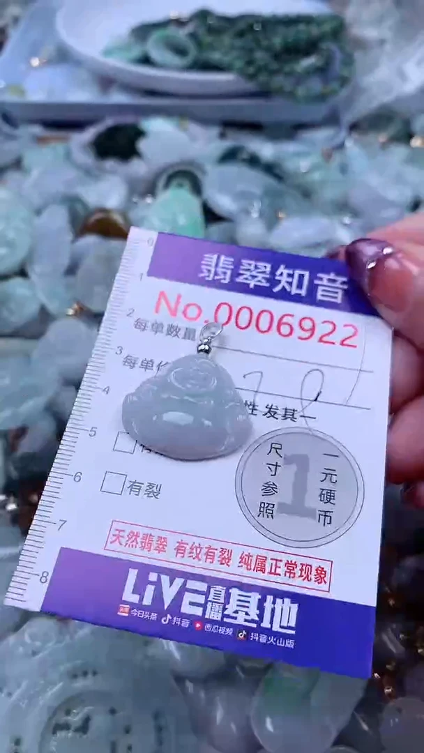 翡翠未镶嵌吊坠(不含链)6922