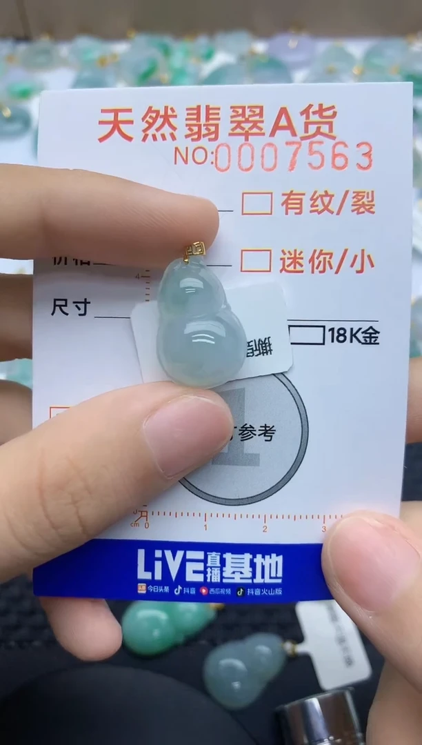 翡翠18K金镶嵌颈饰456456464646