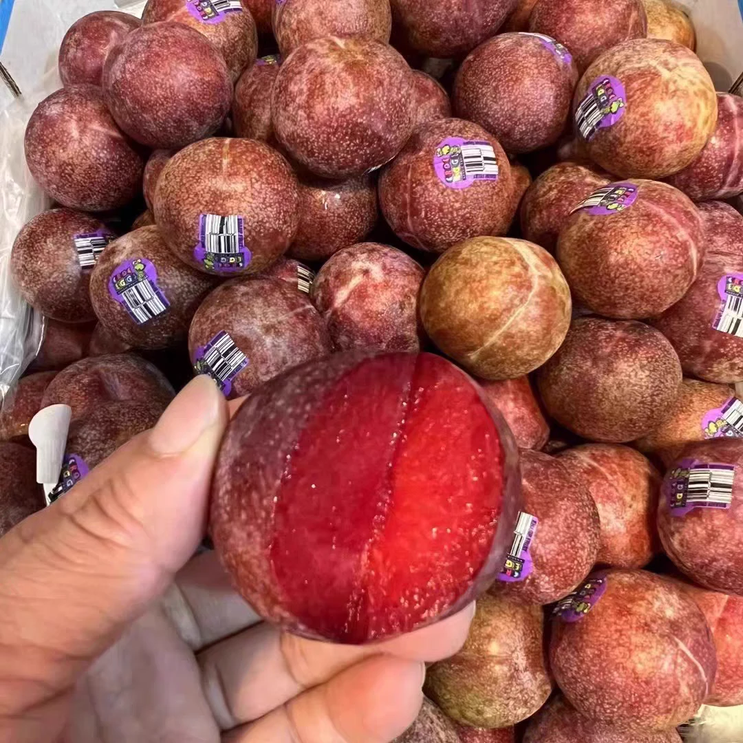 智利凤凰李三粒装 红肉李 个大超甜多汁