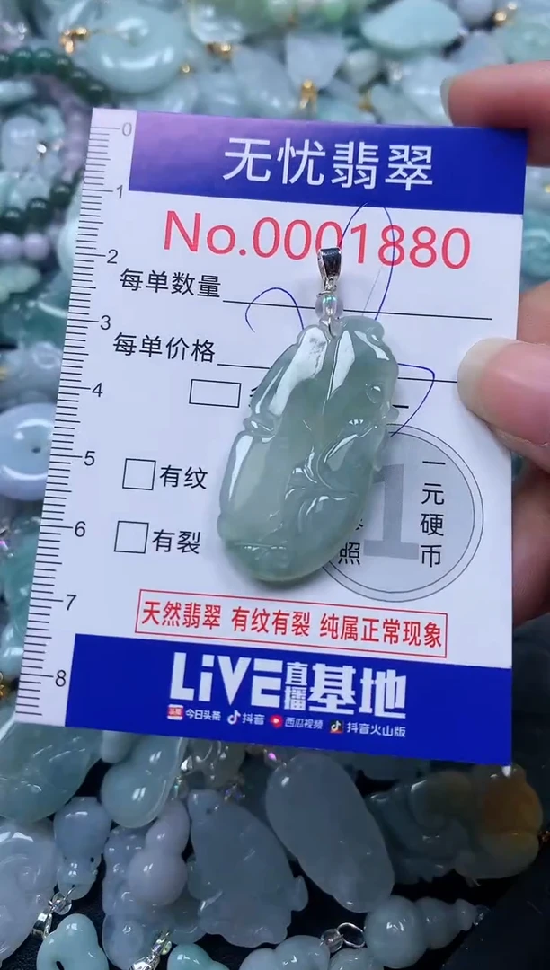 颈饰未镶嵌翡翠1880