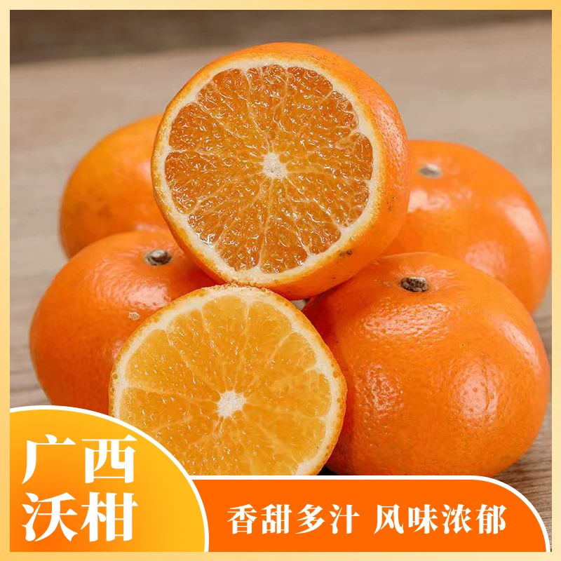 【匠耕蜜】广西武鸣沃柑 酸甜爽口皮薄包邮发货应季水果