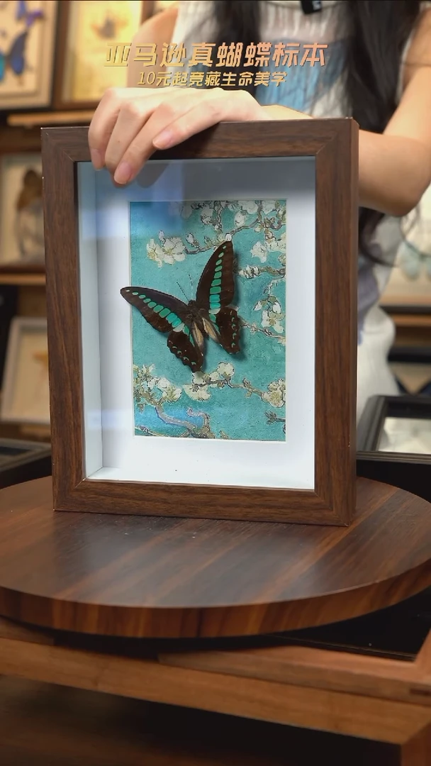 青凤蝶8寸复古框腊梅款