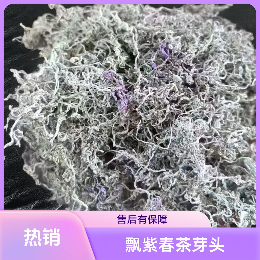 【2025飘紫春茶芽头】顺丰包邮正宗湘西清甜莓茶特级芽头莓茶