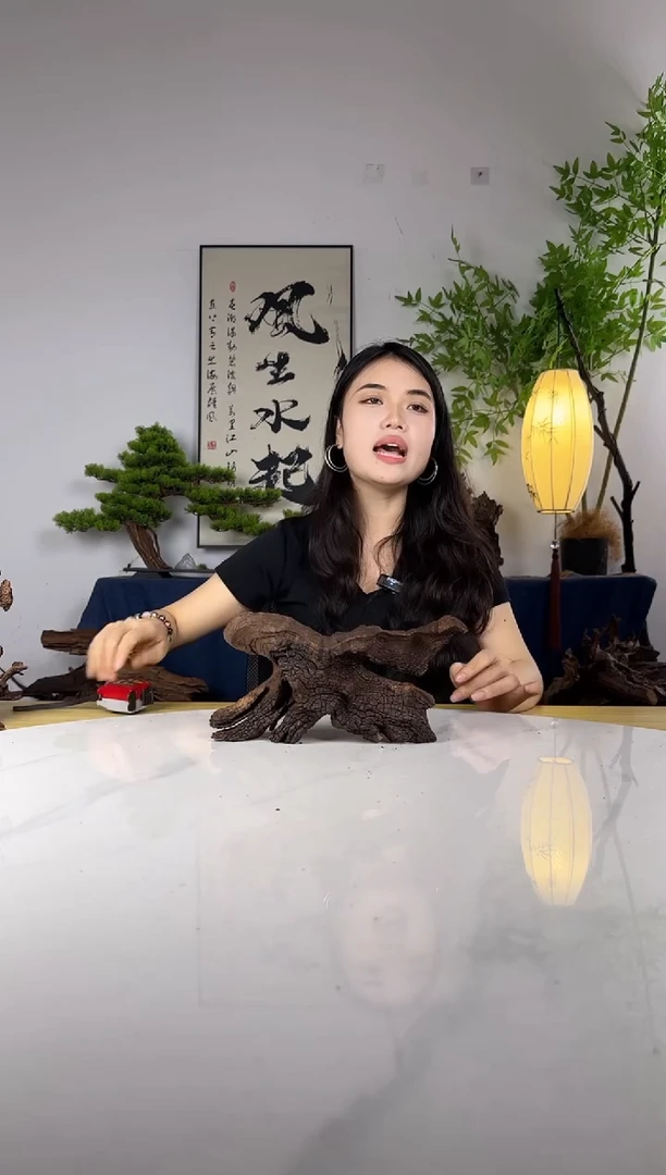 低****梢拍这个定向编号63