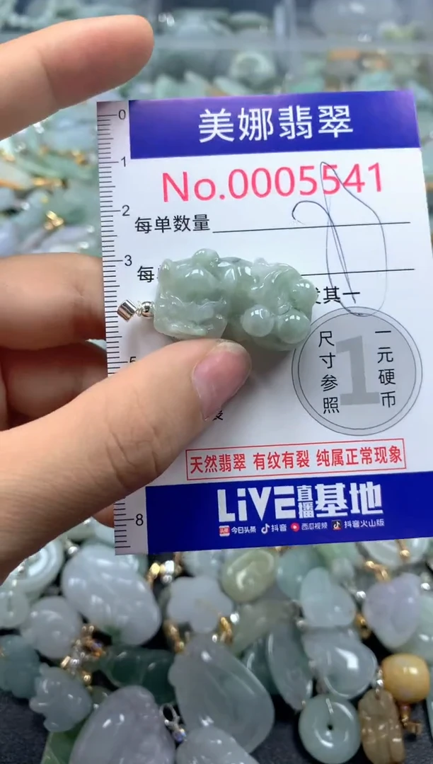 颈饰未镶嵌翡翠5541