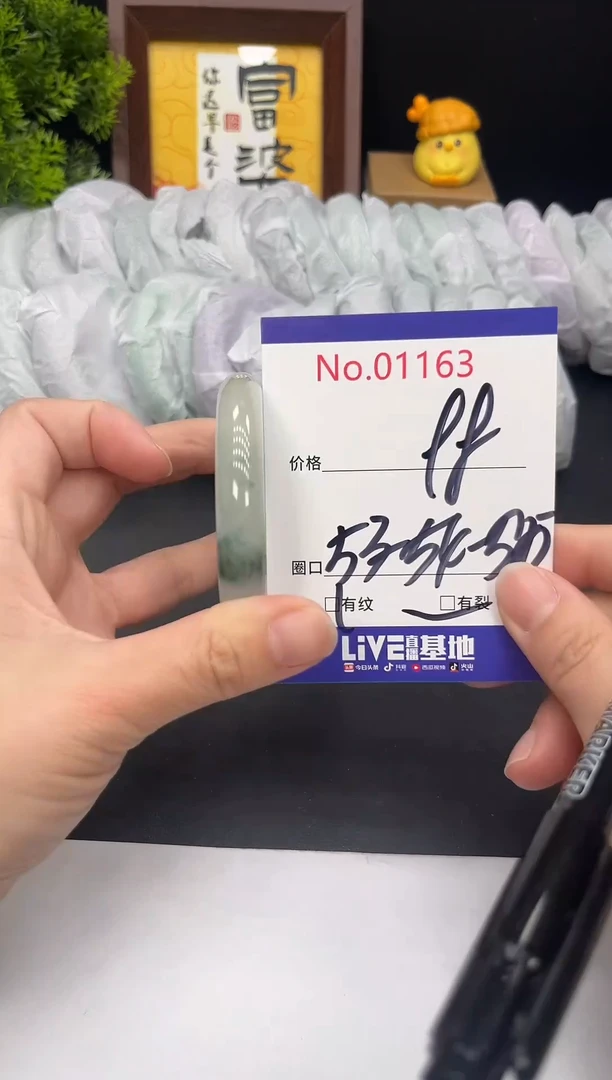 未镶嵌手镯翡翠拍下以实物为准1163