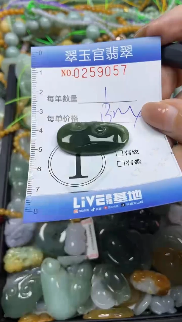 颈饰未镶嵌翡翠闪购C0259057