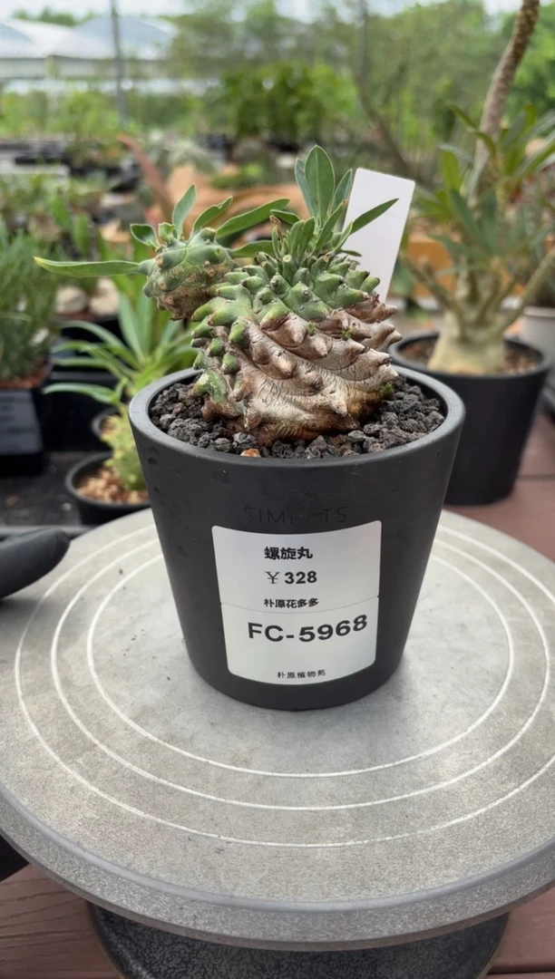 螺旋丸FC-5968