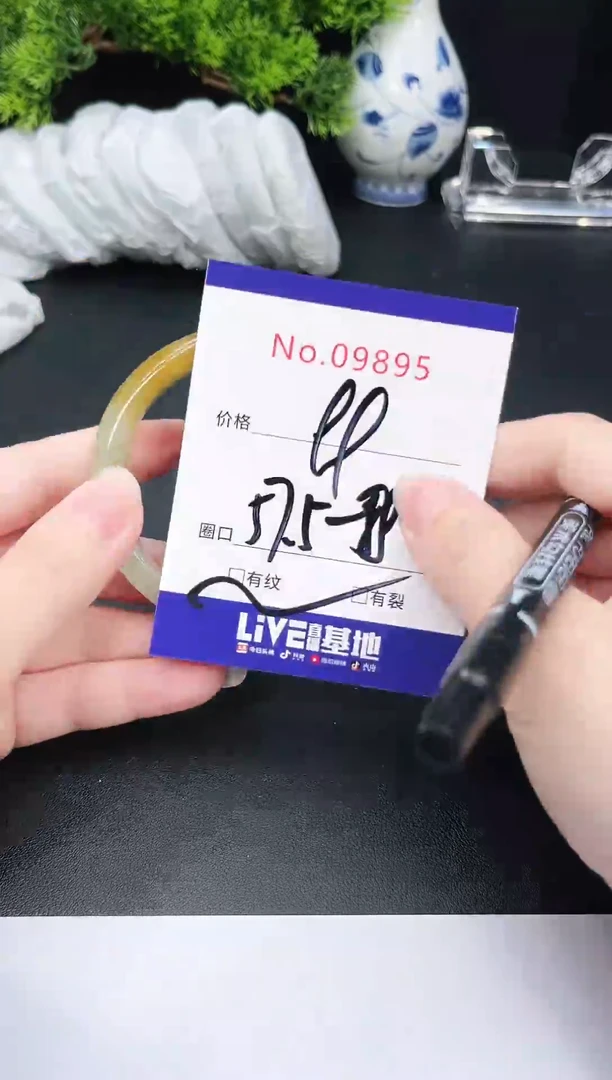 未镶嵌手镯翡翠9895