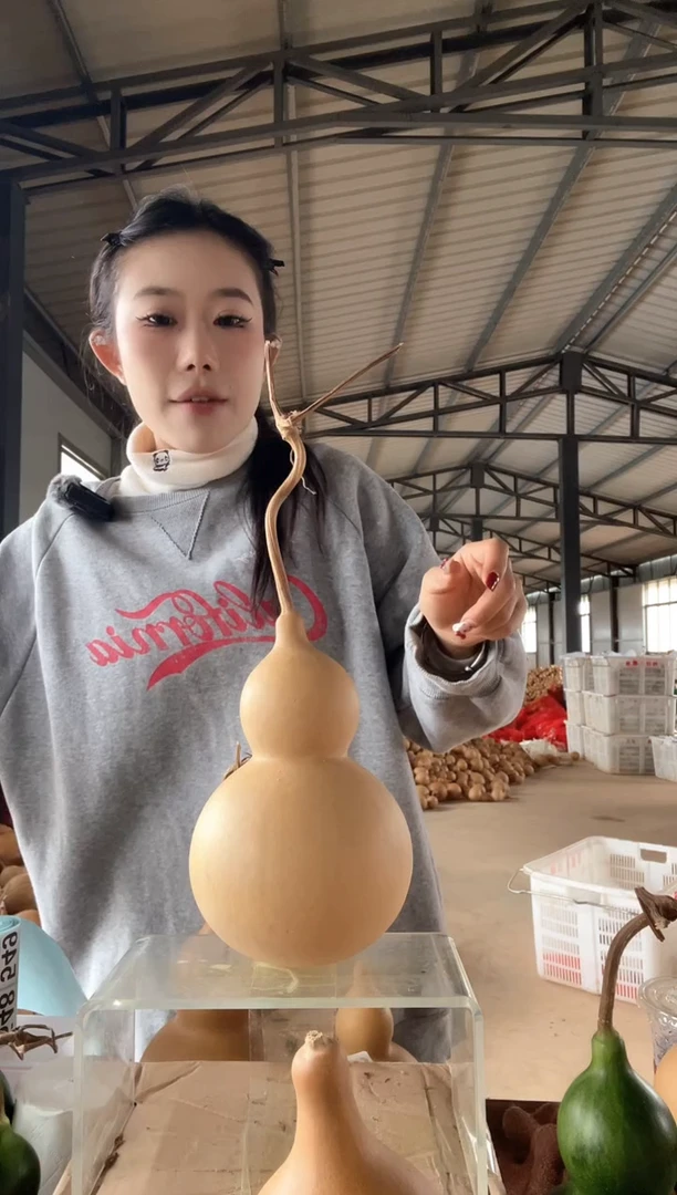 无花朵543天然葫芦摆件 一物一拍龙头不保售后