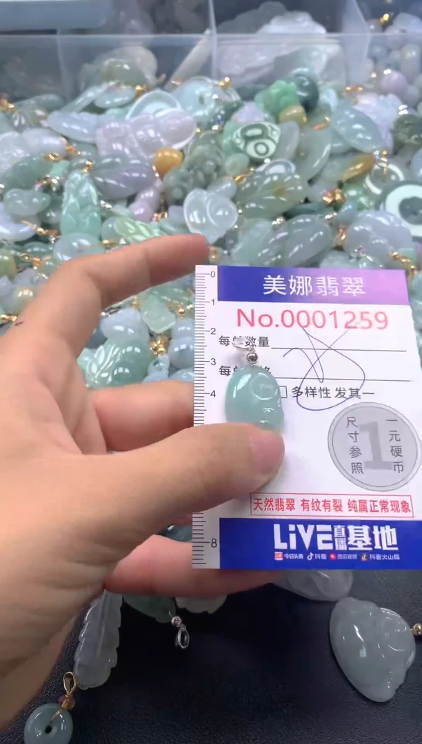 颈饰未镶嵌翡翠1259