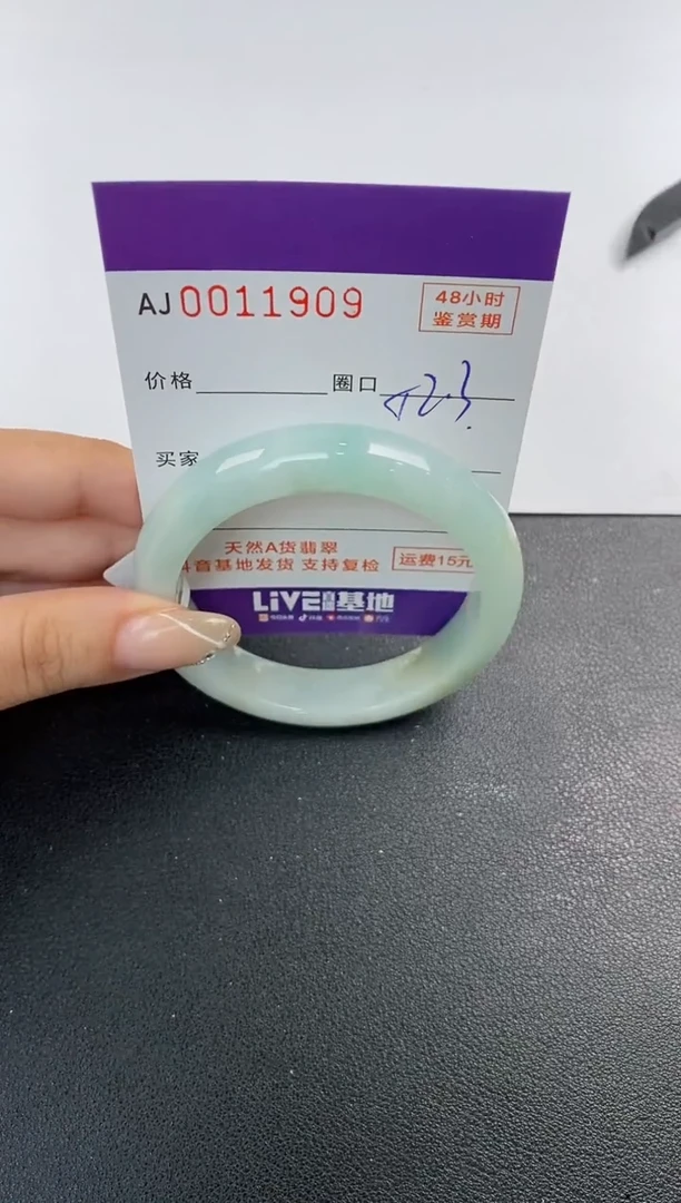 未镶嵌手镯翡翠天然A货翡翠