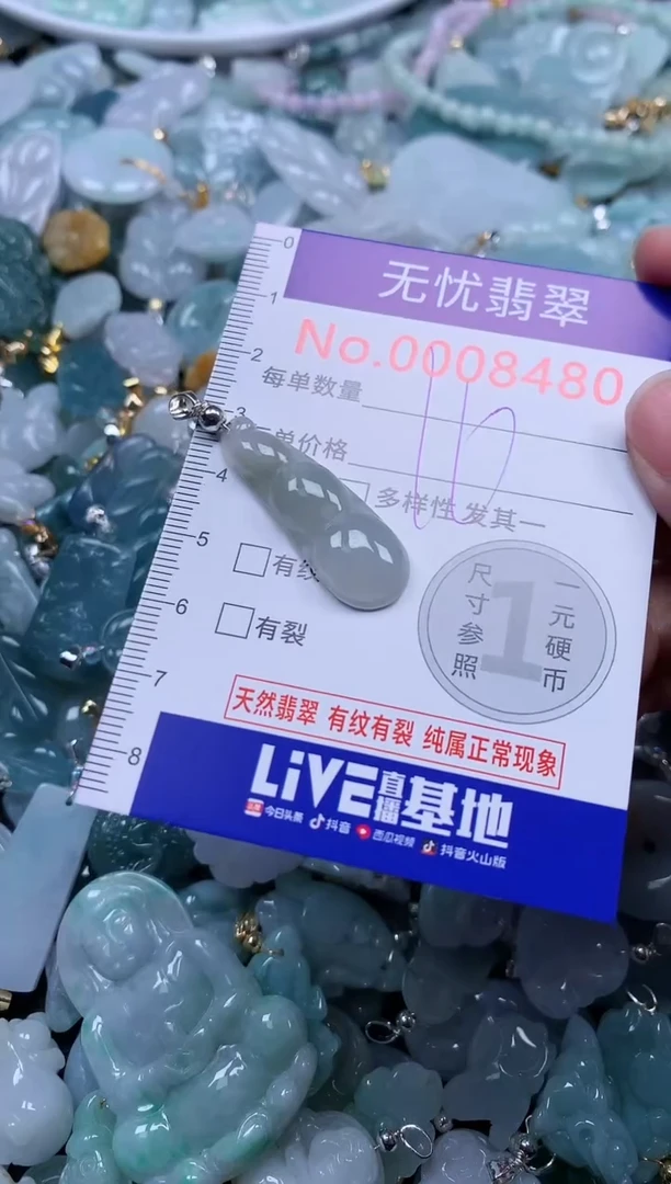 颈饰未镶嵌翡翠8480